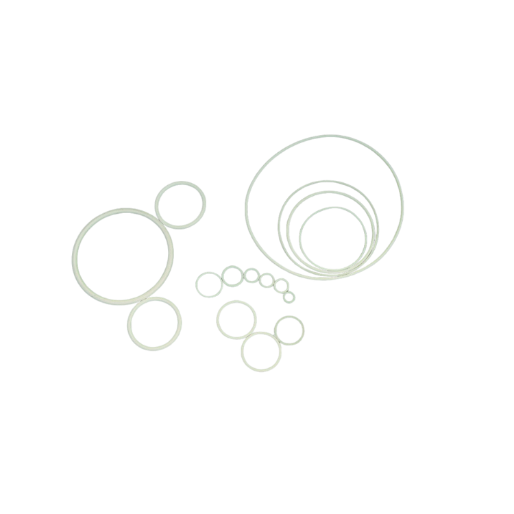 PTFE O-Ring